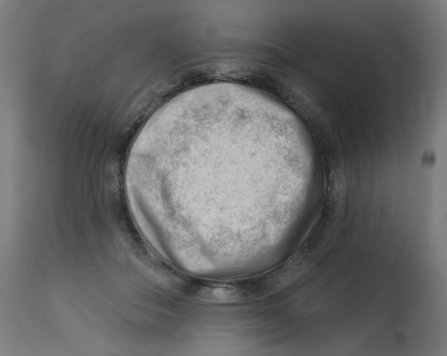 X0000112740506200909171204