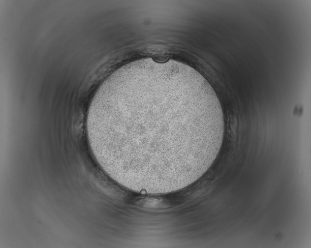 X0000112740507200909171204