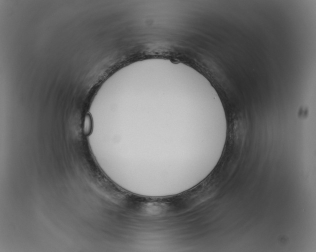 X0000112740508200909171204