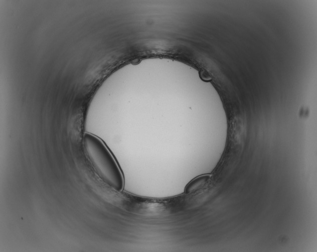 X0000112740509200909171204