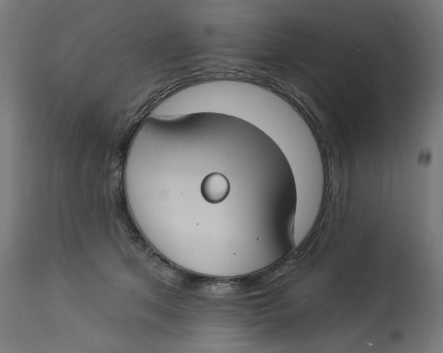 X0000112740513200909171204