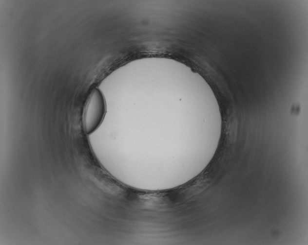 X0000112740516200909171204