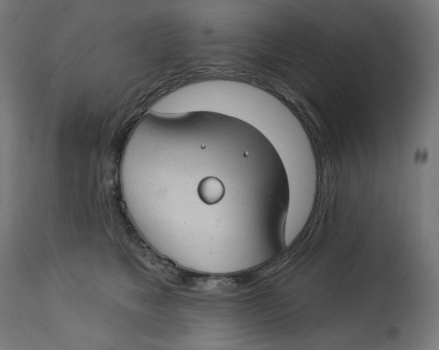 X0000112740517200909171204