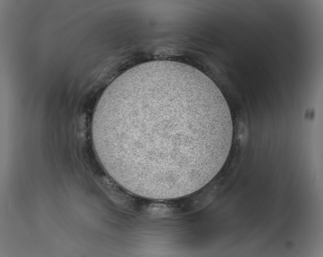 X0000112740519200909171204