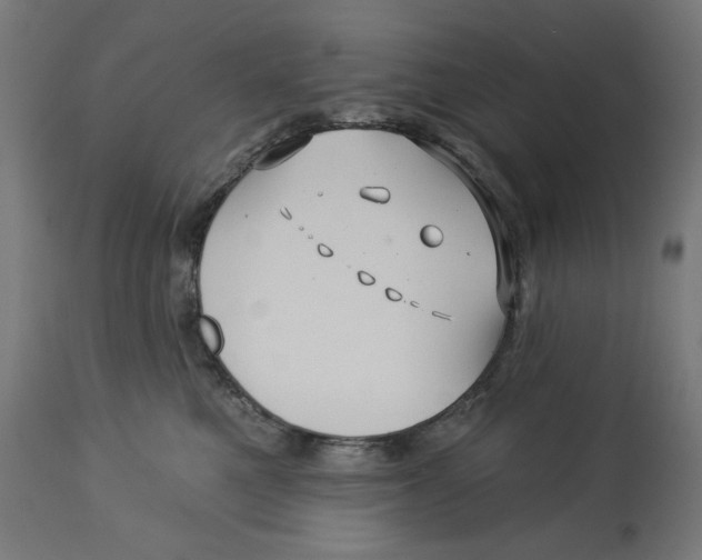 X0000112740521200909171204