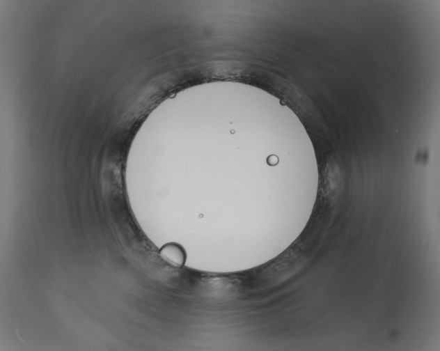 X0000112740522200909171204