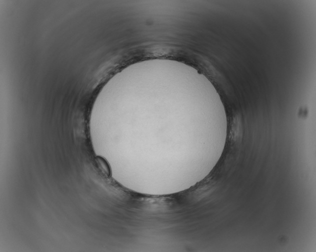 X0000112740524200909171204