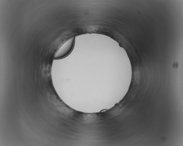 X0000112740525200909171204