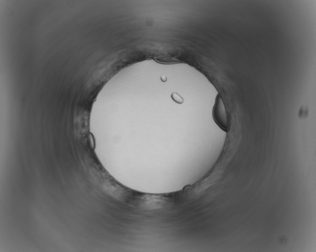 X0000112740528200909171204