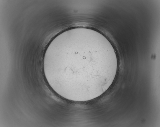 X0000112740529200909171203