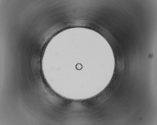 X0000112740534200909171203