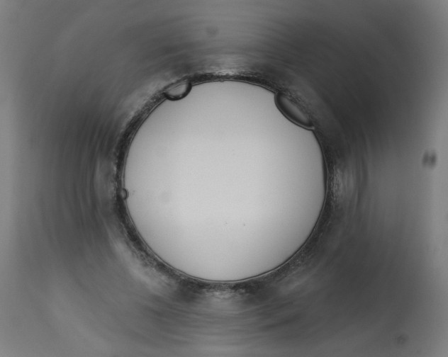 X0000112740540200909171203