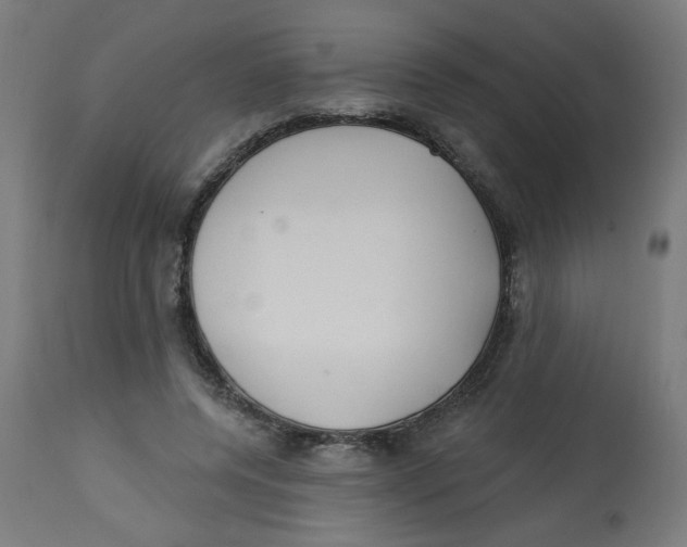 X0000112740544200909171204