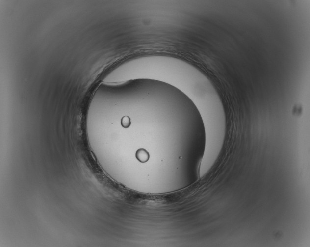 X0000112740548200909171204