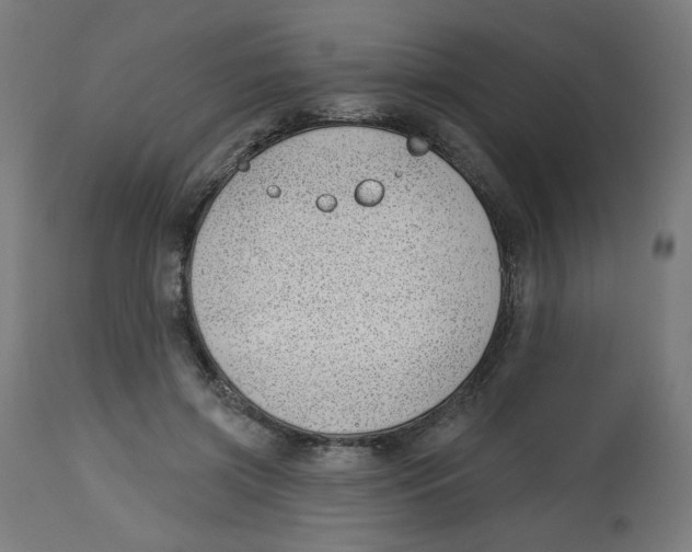 X0000112740549200909171204