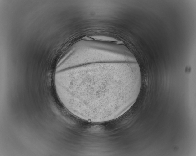 X0000112740551200909171204