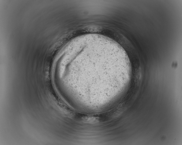 X0000112740553200909171204