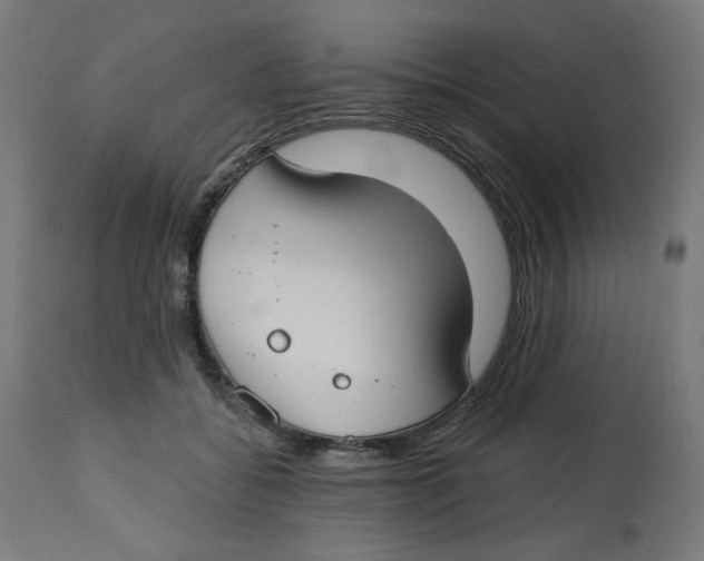 X0000112740556200909171204