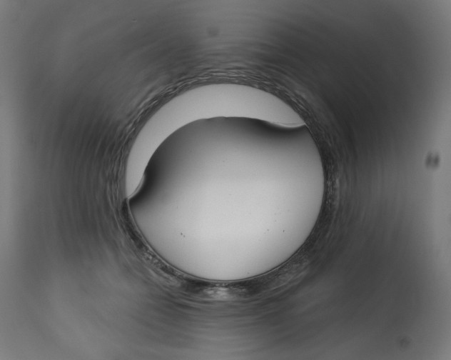 X0000112740558200909171204