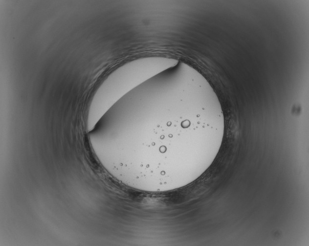 X0000112740560200909171204