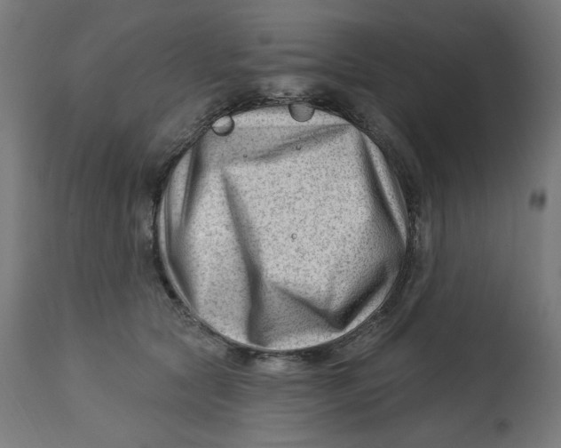 X0000112740561200909171204