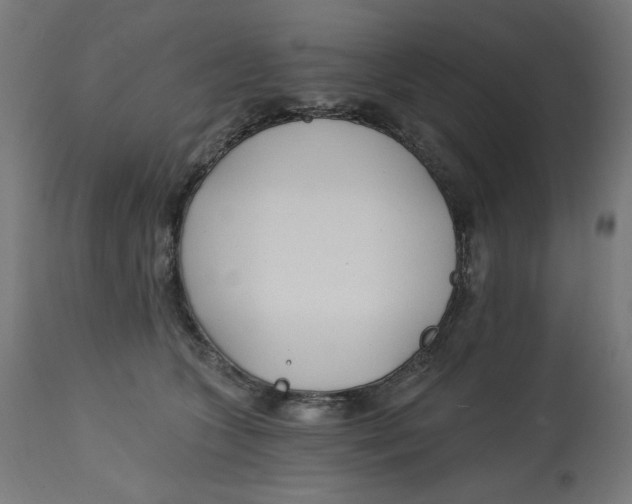 X0000112740563200909171204