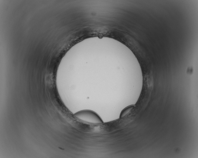 X0000112740564200909171204