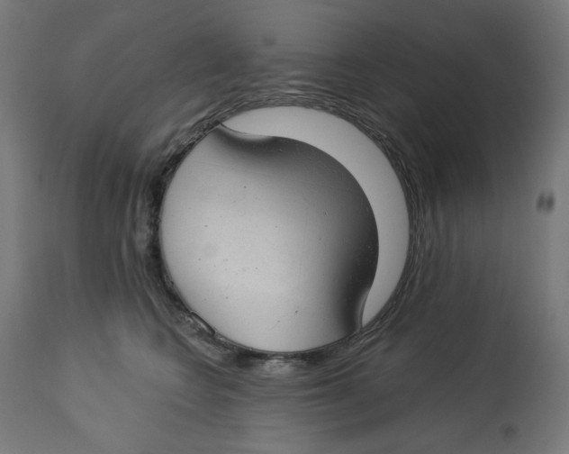 X0000112740566200909171204