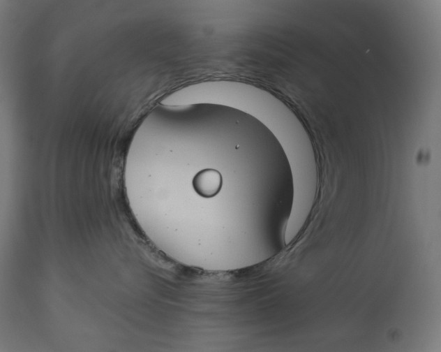 X0000112740576200909171204