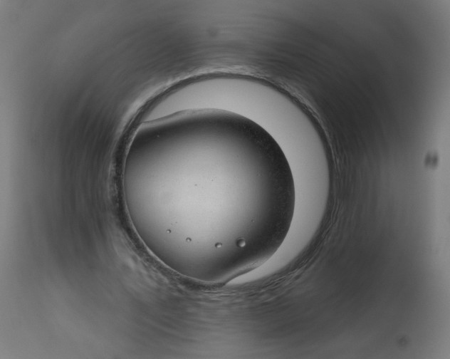 X0000112740579200909171203