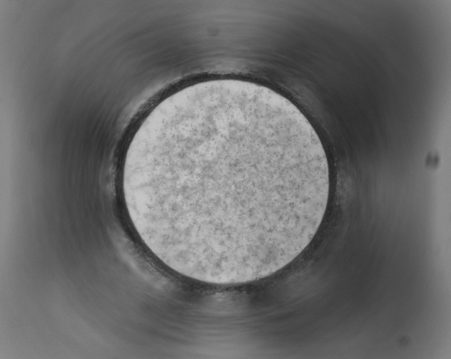 X0000112740584200909171203