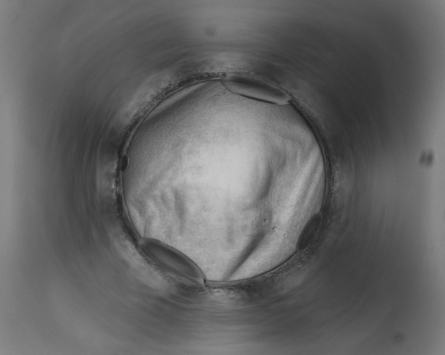 X0000112740585200909171203