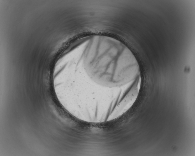 X0000112740592200909171203