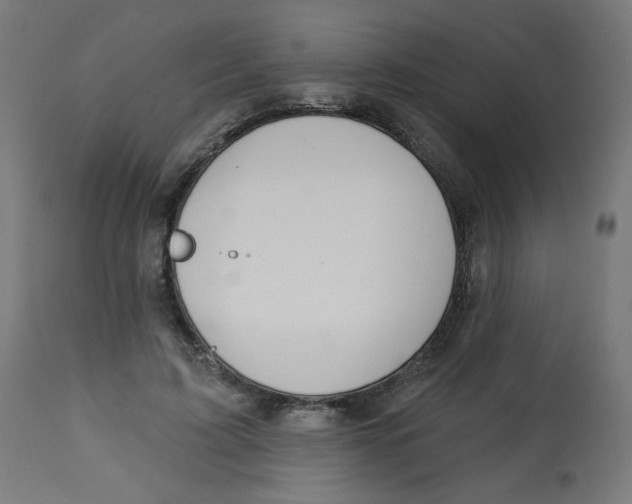 X0000112740595200909171203