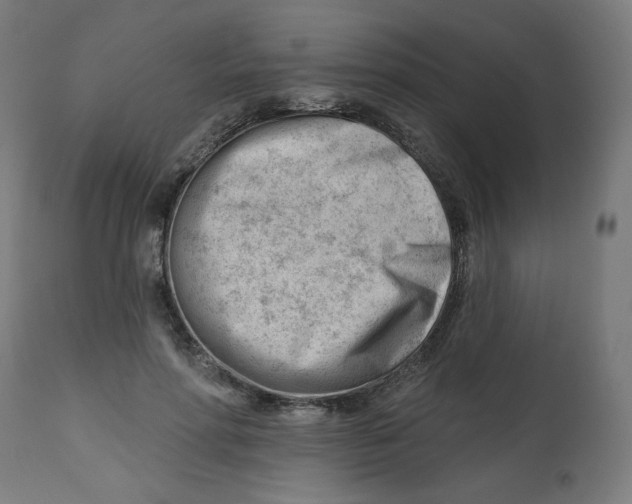 X0000112740598200909171203