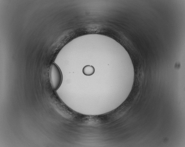 X0000112740601200909171203