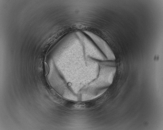 X0000112740606200909171203