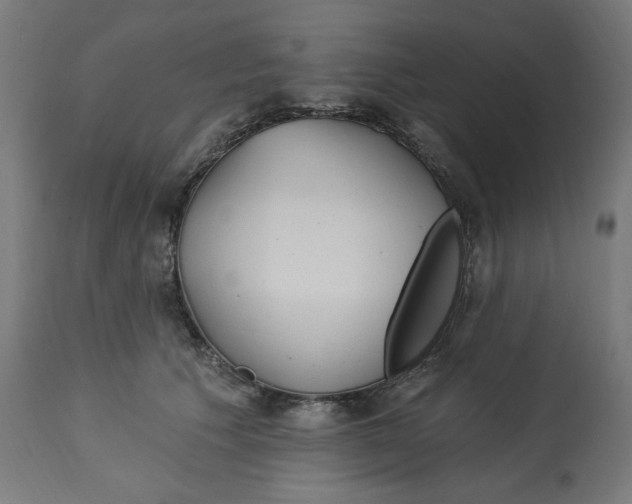 X0000112740609200909171203