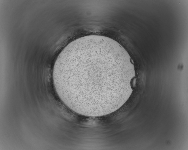 X0000112740612200909171203