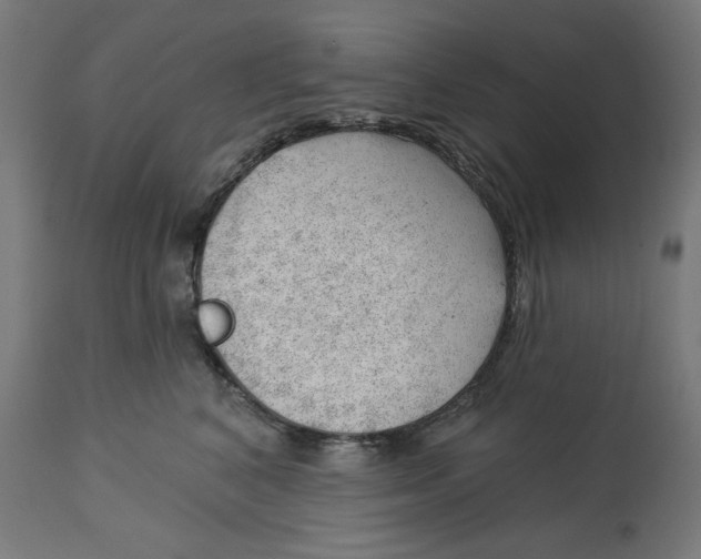 X0000112740616200909171203