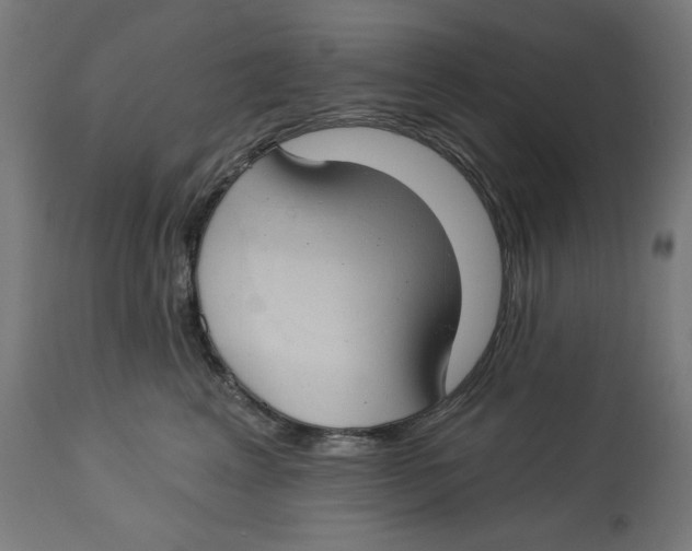 X0000112740617200909171203