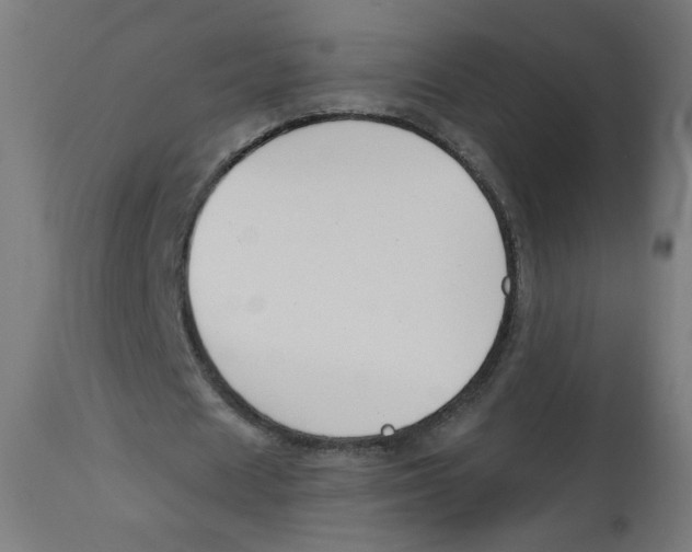 X0000112740625200909171202