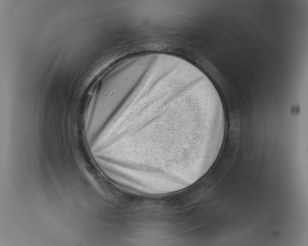 X0000112740626200909171202