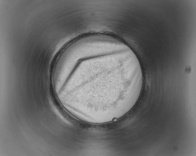 X0000112740630200909171202