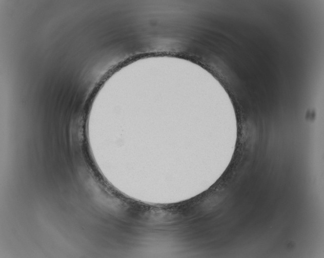 X0000112740632200909171202