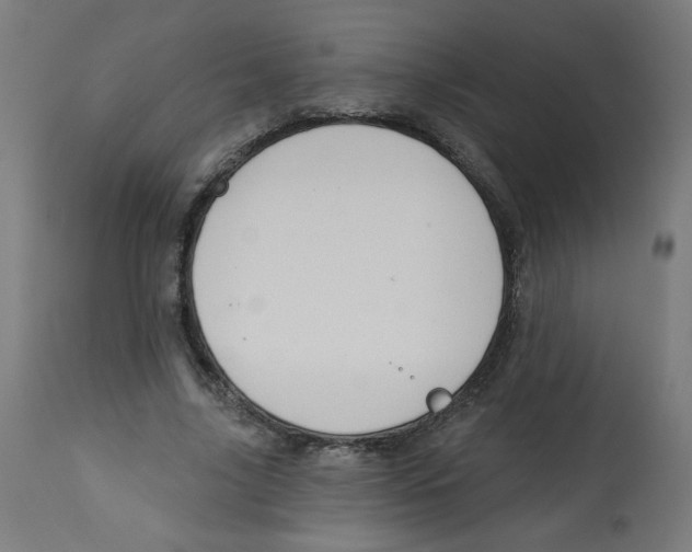 X0000112740635200909171202