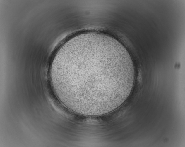 X0000112740636200909171202