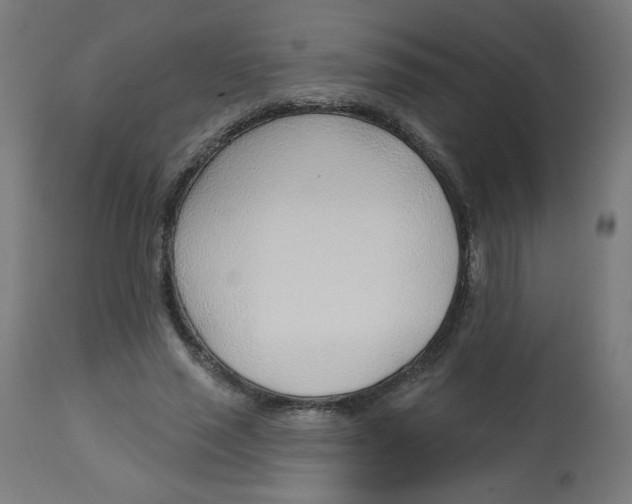 X0000112740637200909171202