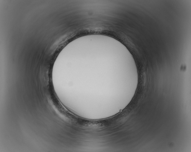 X0000112740638200909171202