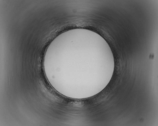 X0000112740639200909171202